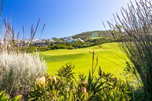 3 Windstar Pezula Golf Estate (18)