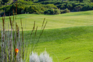 3 Windstar Pezula Golf Estate (6)