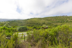 E59 Pezula Private Estate (2)